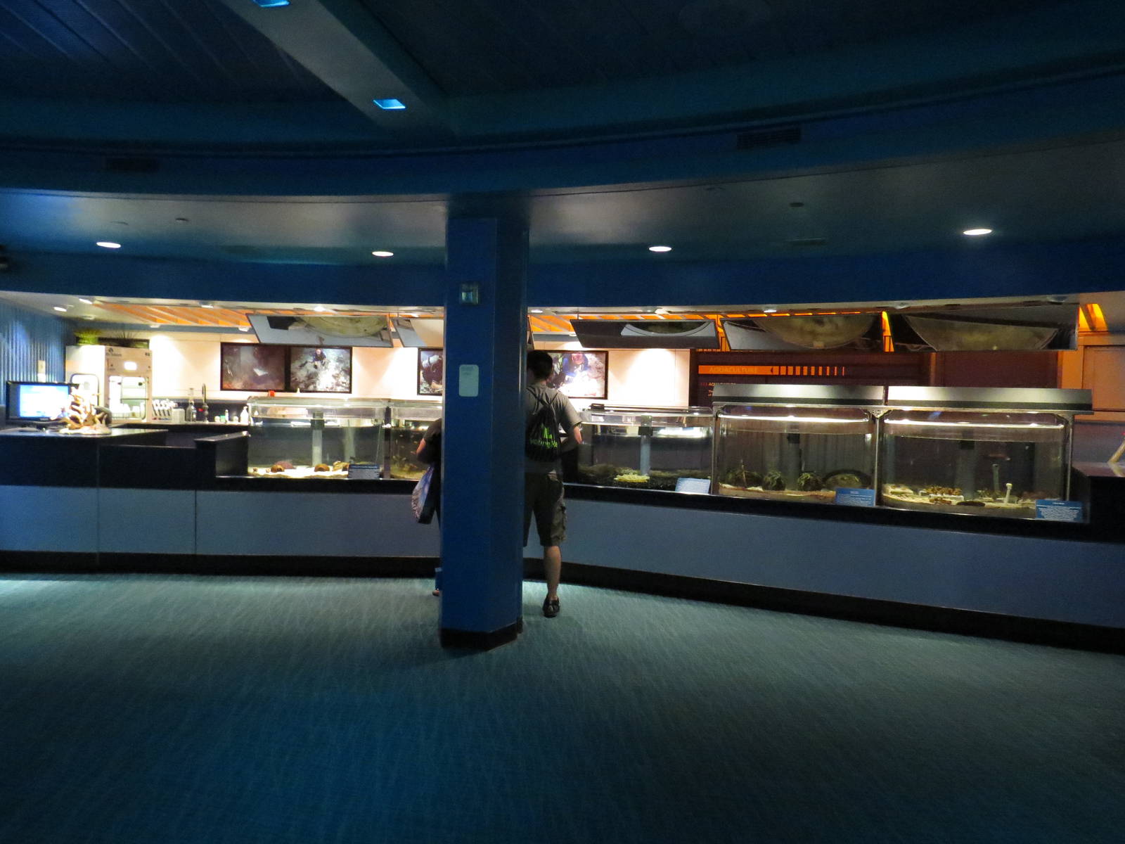 Nursery tanks, March 2015