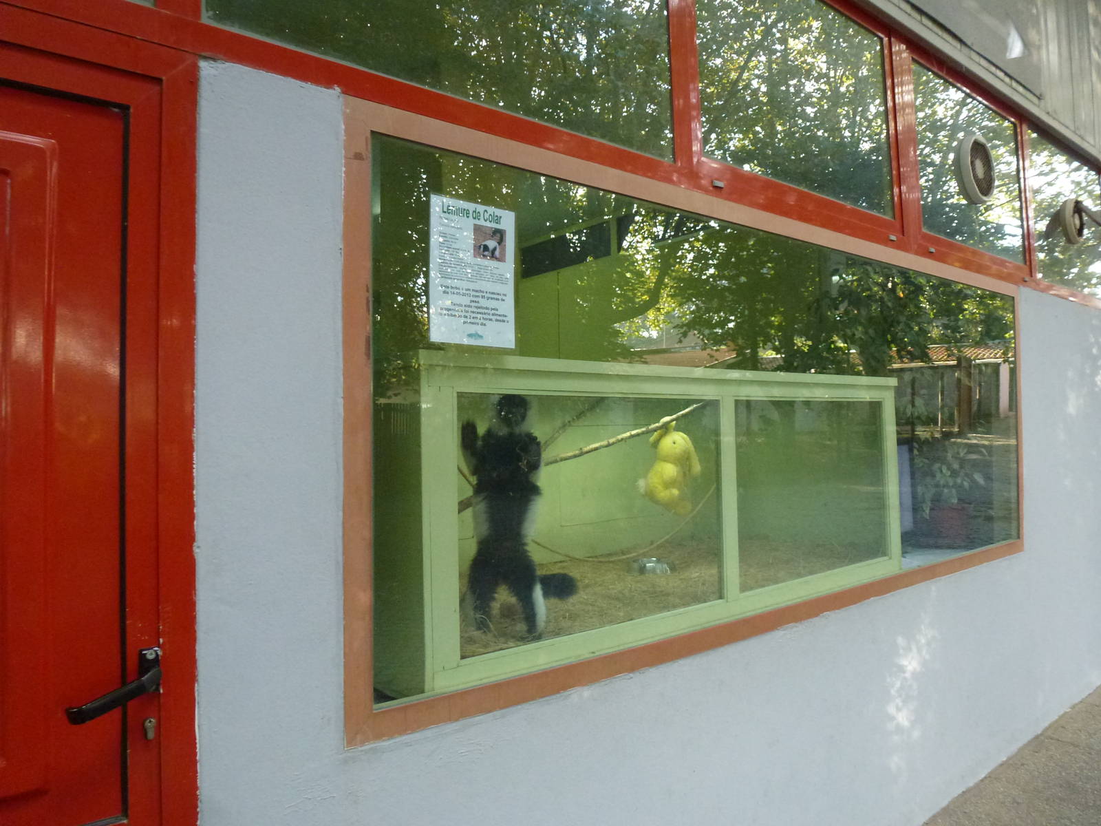 Nursery window, November 2013.