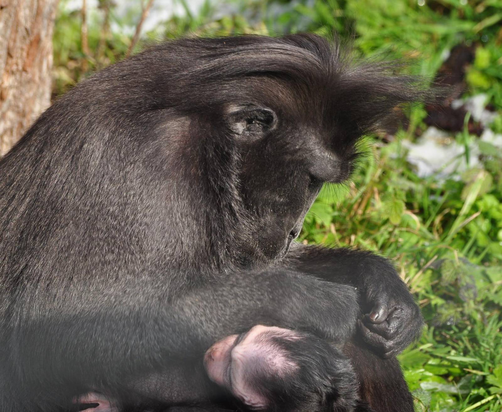 Nursing a week old baby in the snow :)