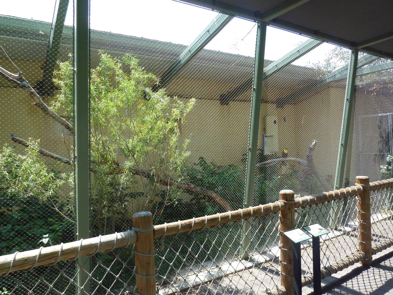 Nurture Trail - Red-Legged Seriema/Keel-Billed Toucan Exhibit