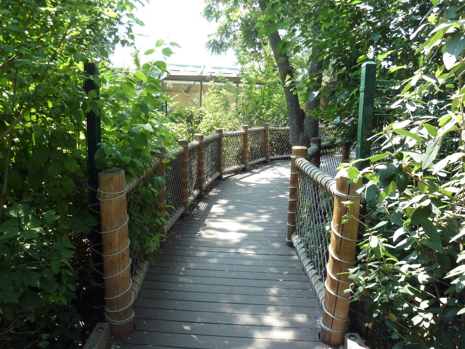 Nurture Trail - Visitor Walkway