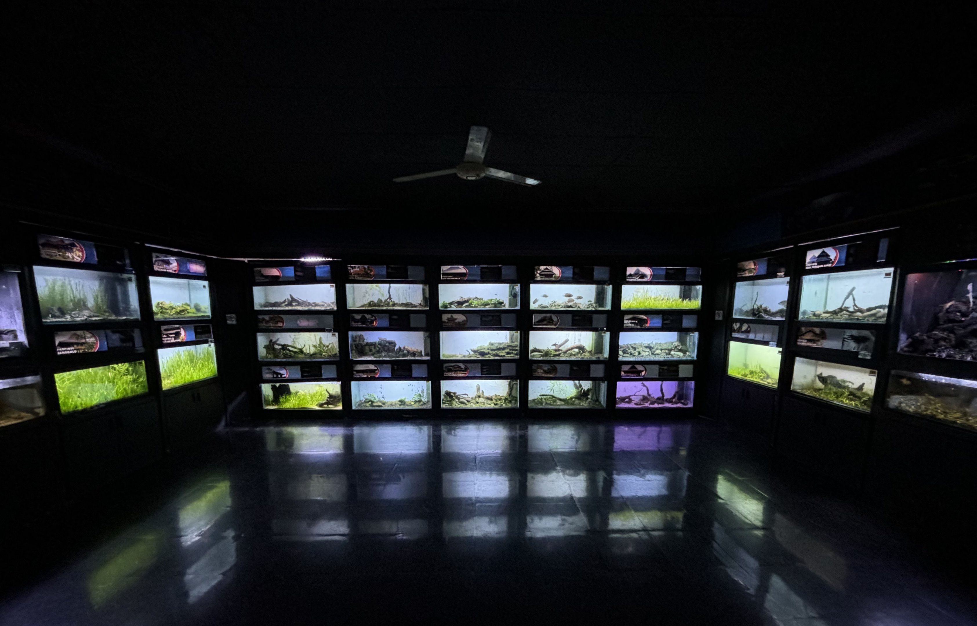 Nusantara Aquarium - lots of tanks!