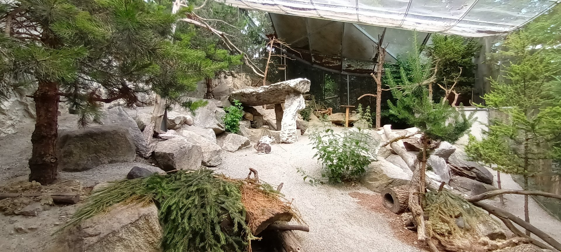 Nutcracker, Black Grouse and Mountain Hare Aviary