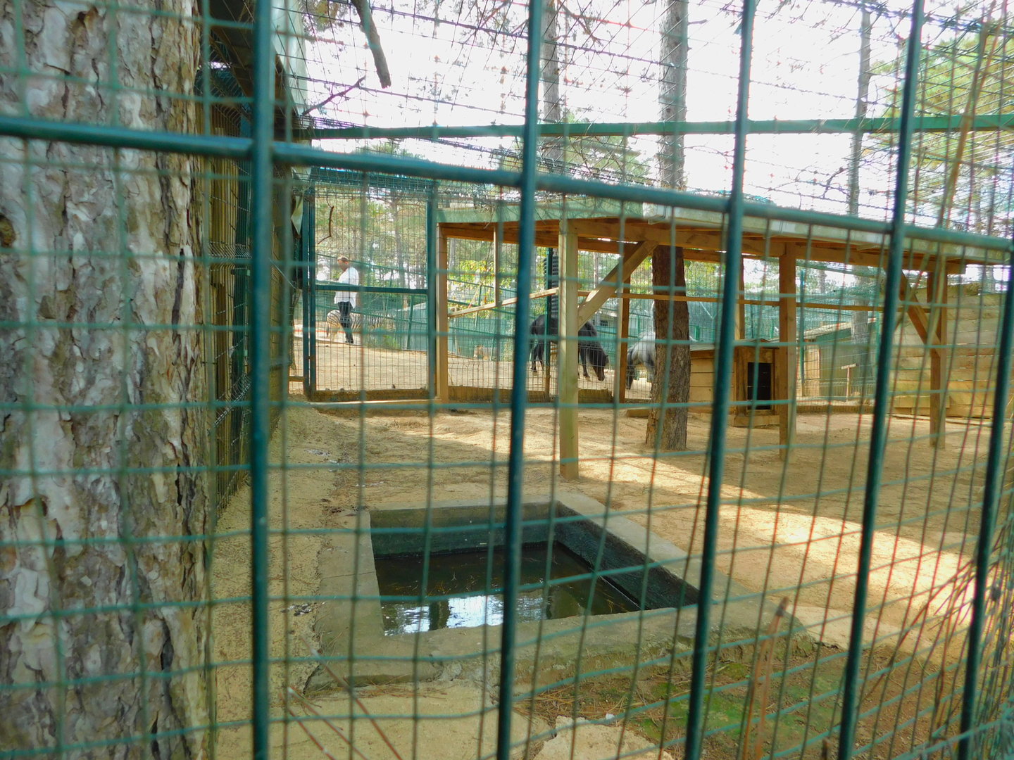 Nutria Enclosure at Park of Istanbul