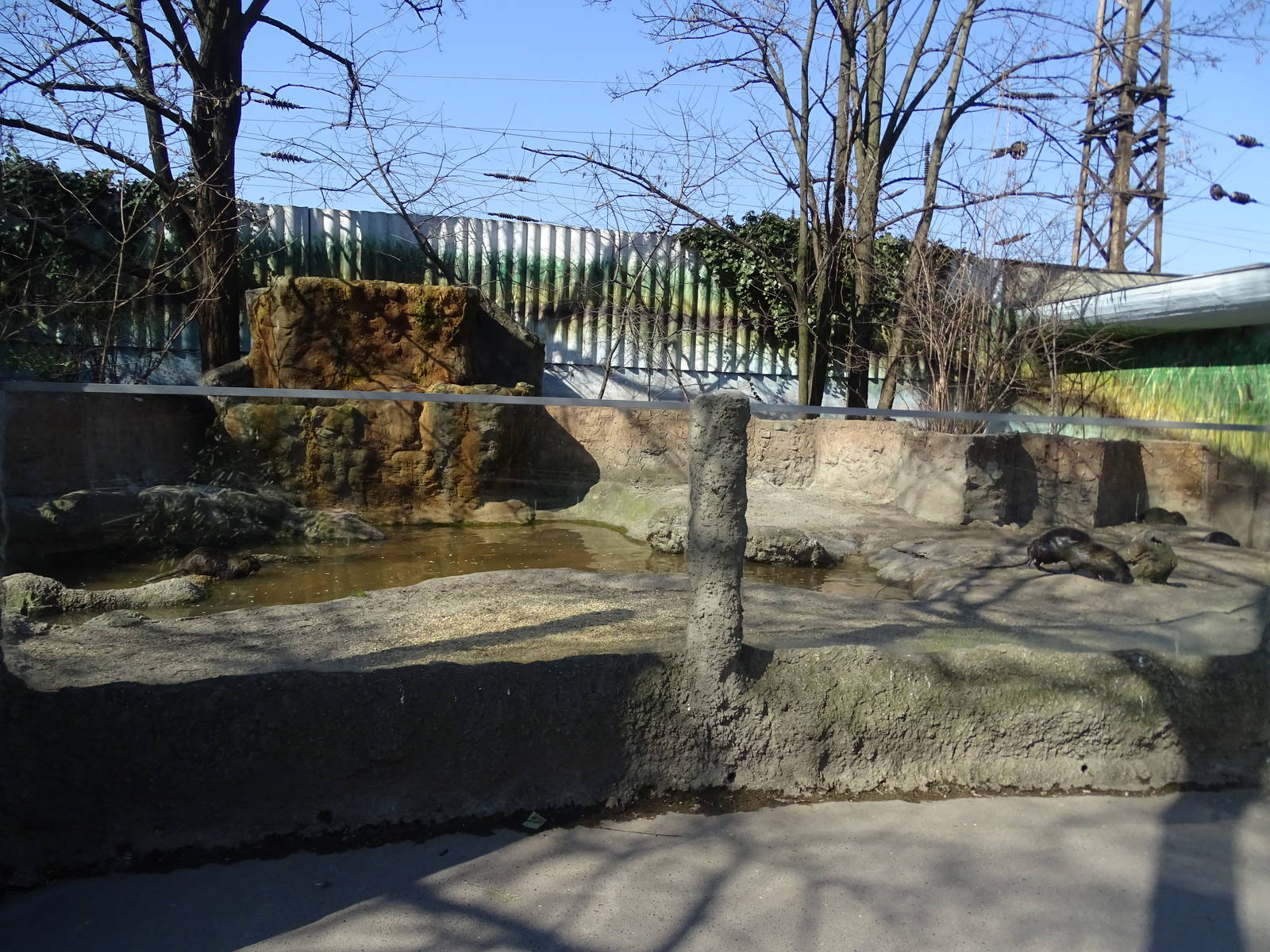 Nutria enclosure