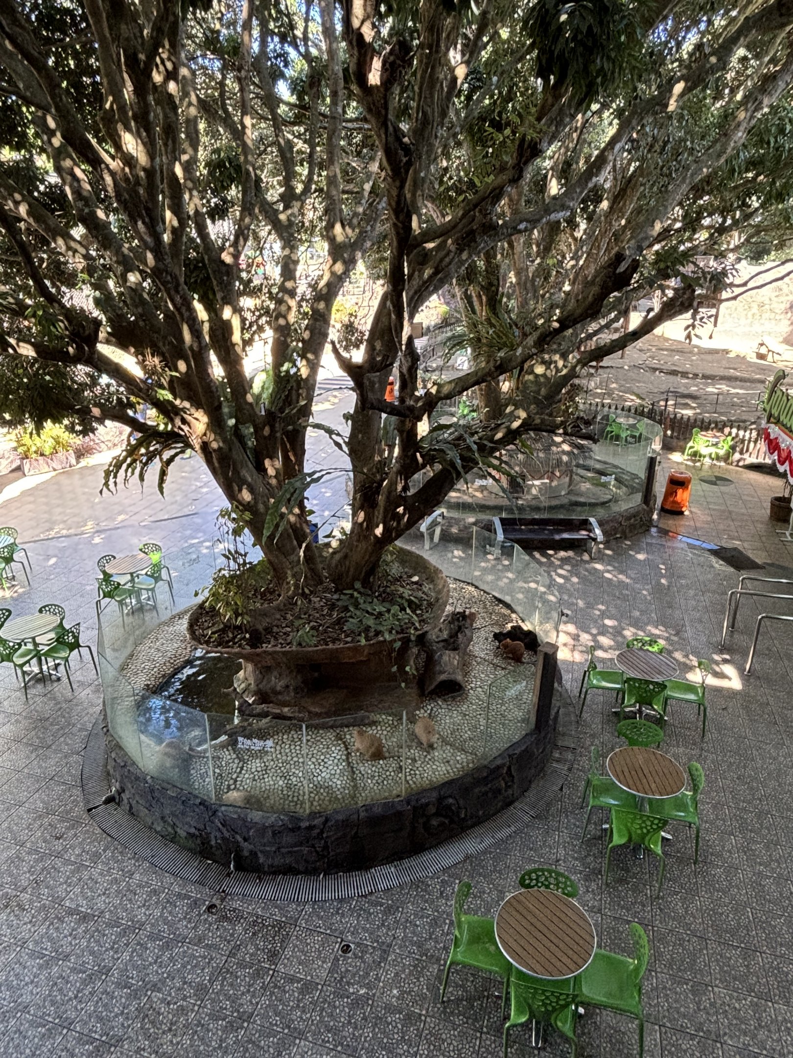 Nutria Exhibit #2 + Seating Area
