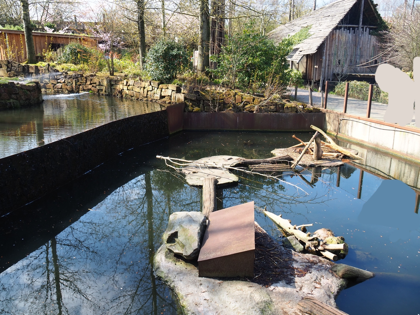Nutria exhibit, 2019-03-30