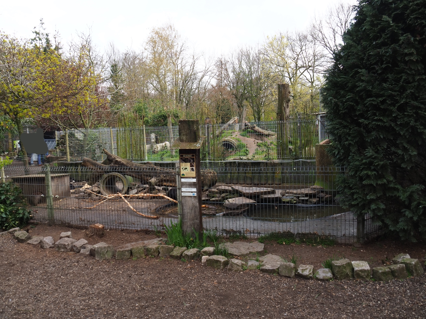 Nutria exhibit, 2019-04-06