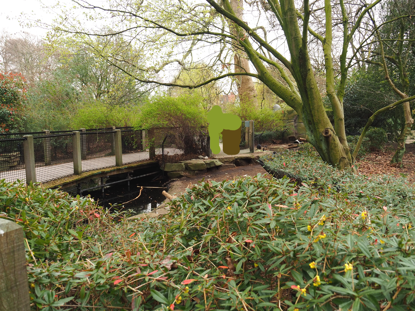 Nutria exhibit, 2022-03-16