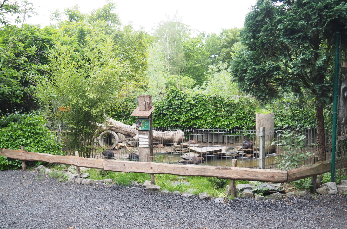 Nutria exhibit, 2022-05-17