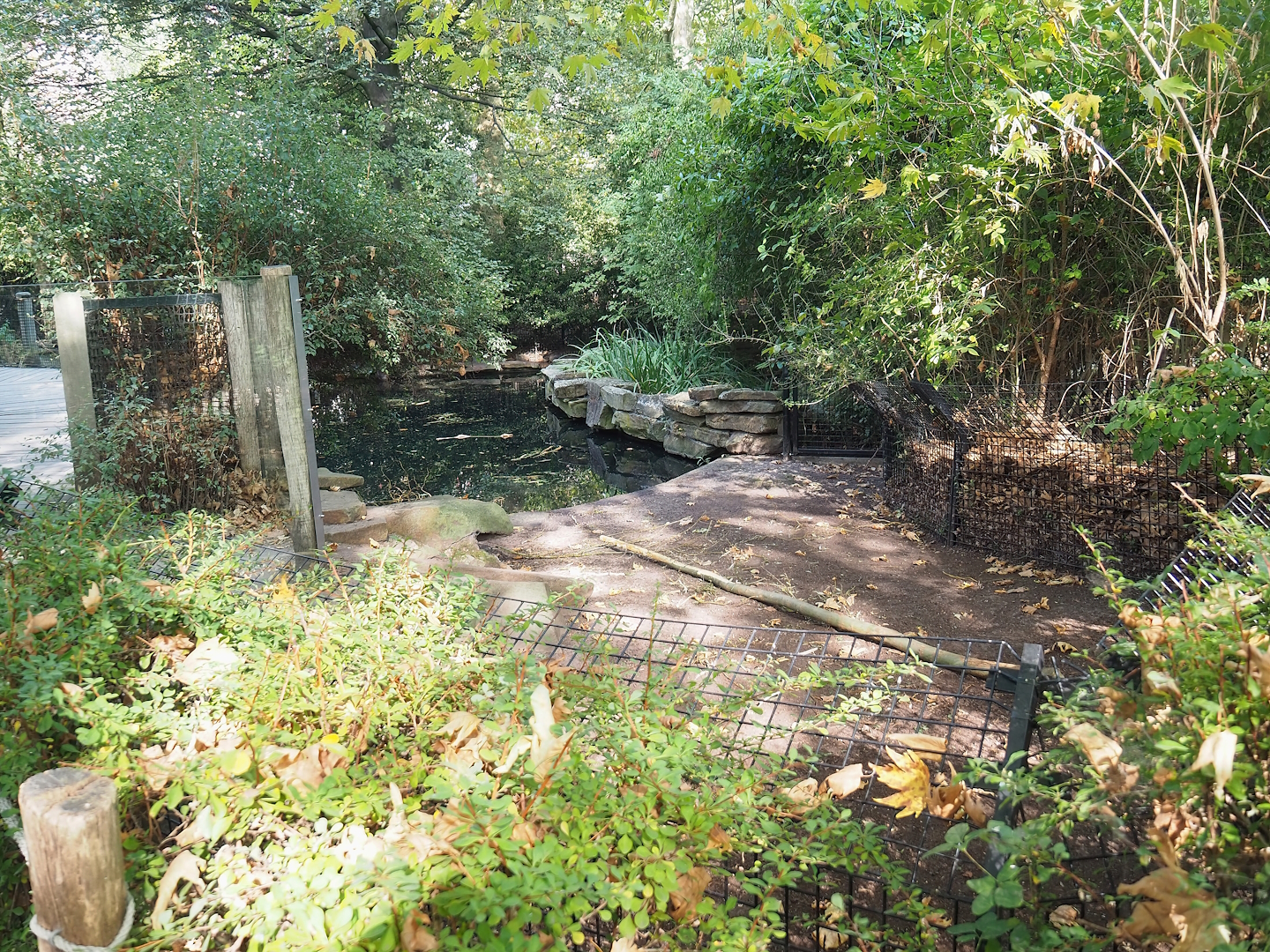 Nutria exhibit, 2022-09-04