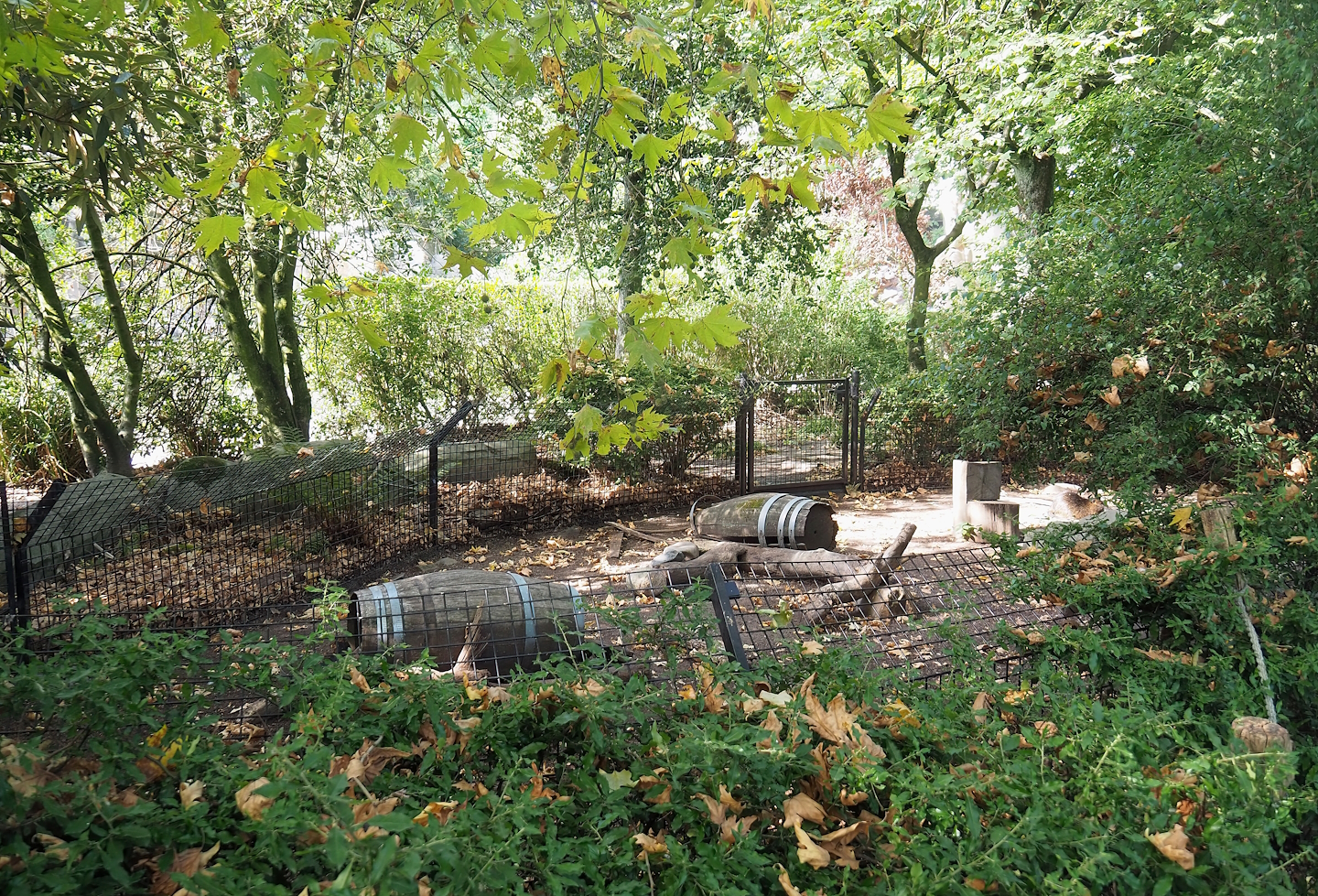 Nutria exhibit, 2022-09-04
