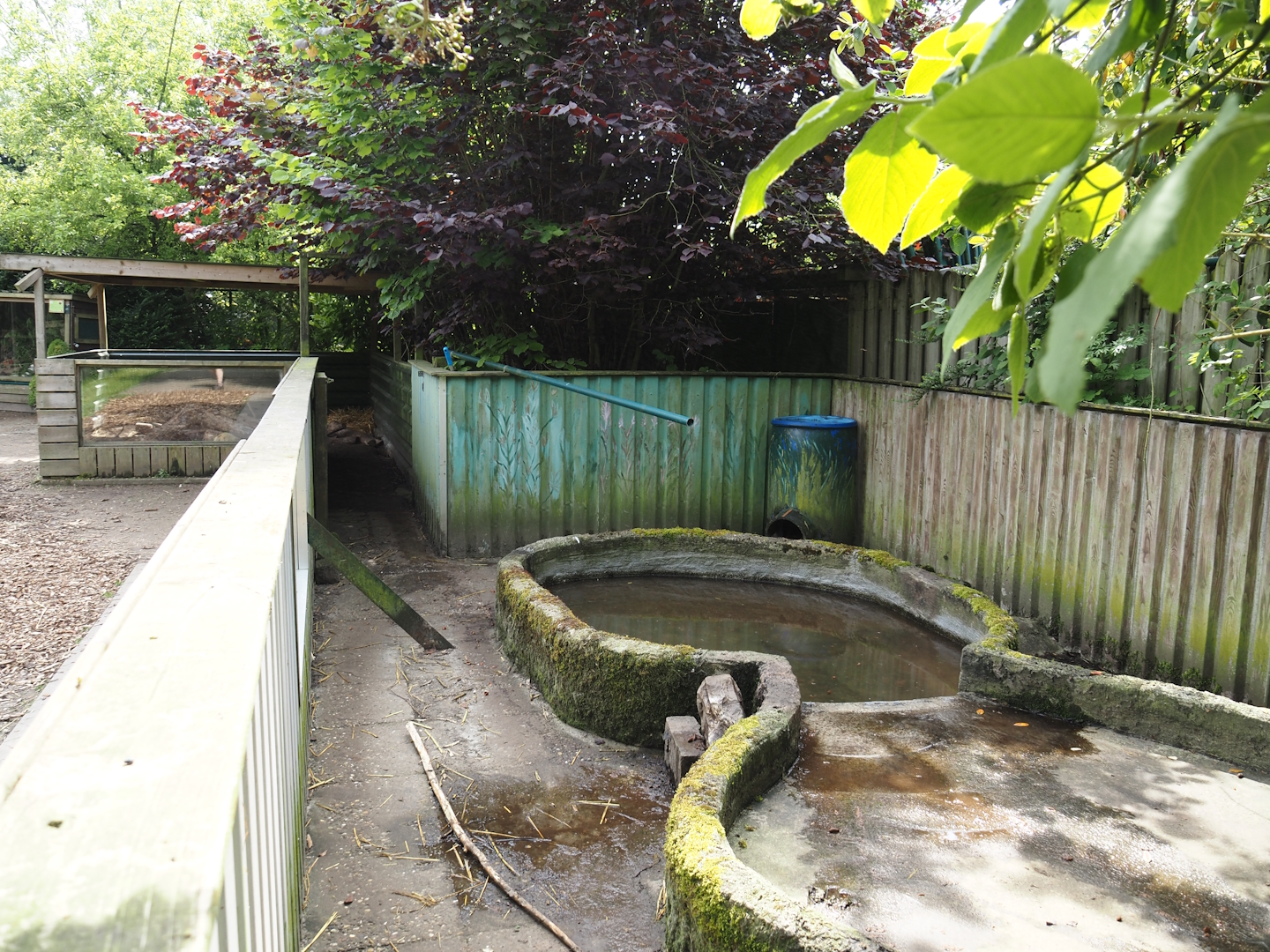 Nutria exhibit, 2024-05-11