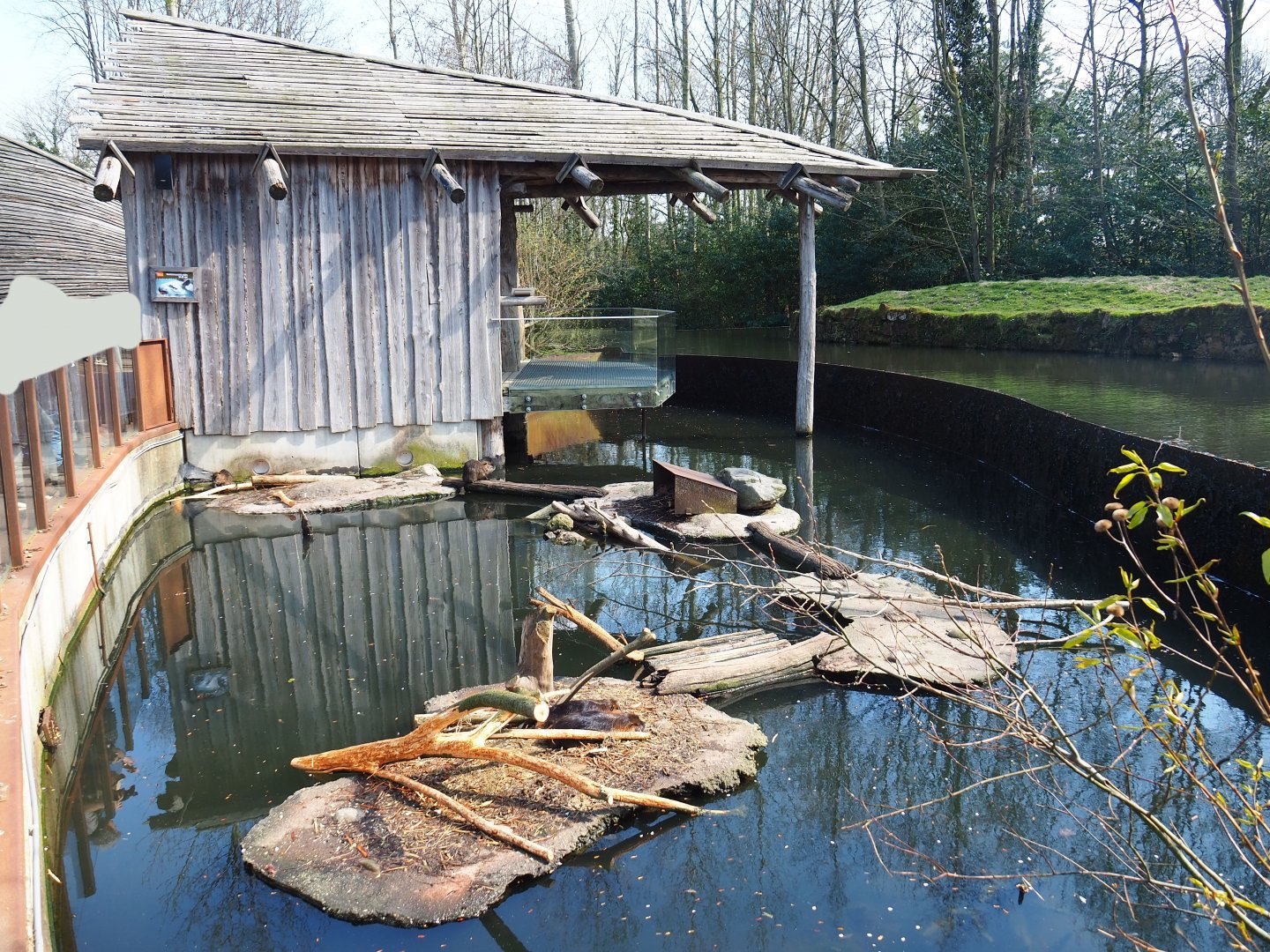 Nutria exhibit and viewing shelter, 2019-03-30