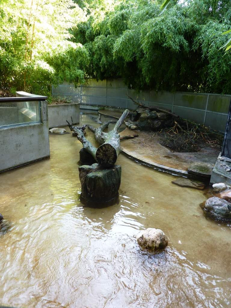 Nutria exhibit Artis August 2010