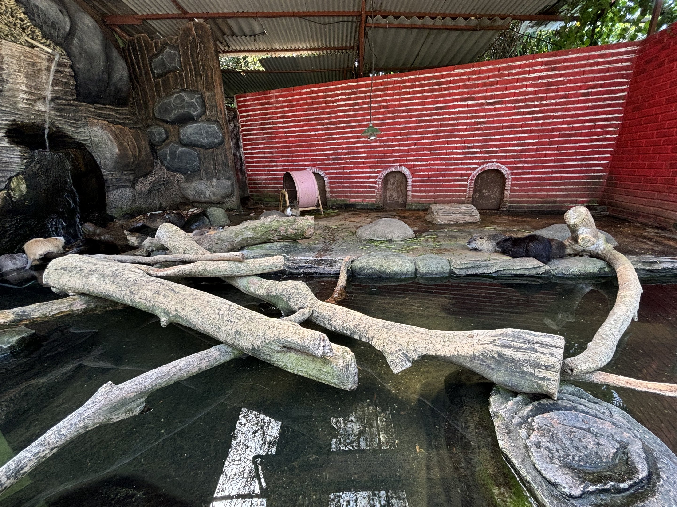 Nutria Exhibit