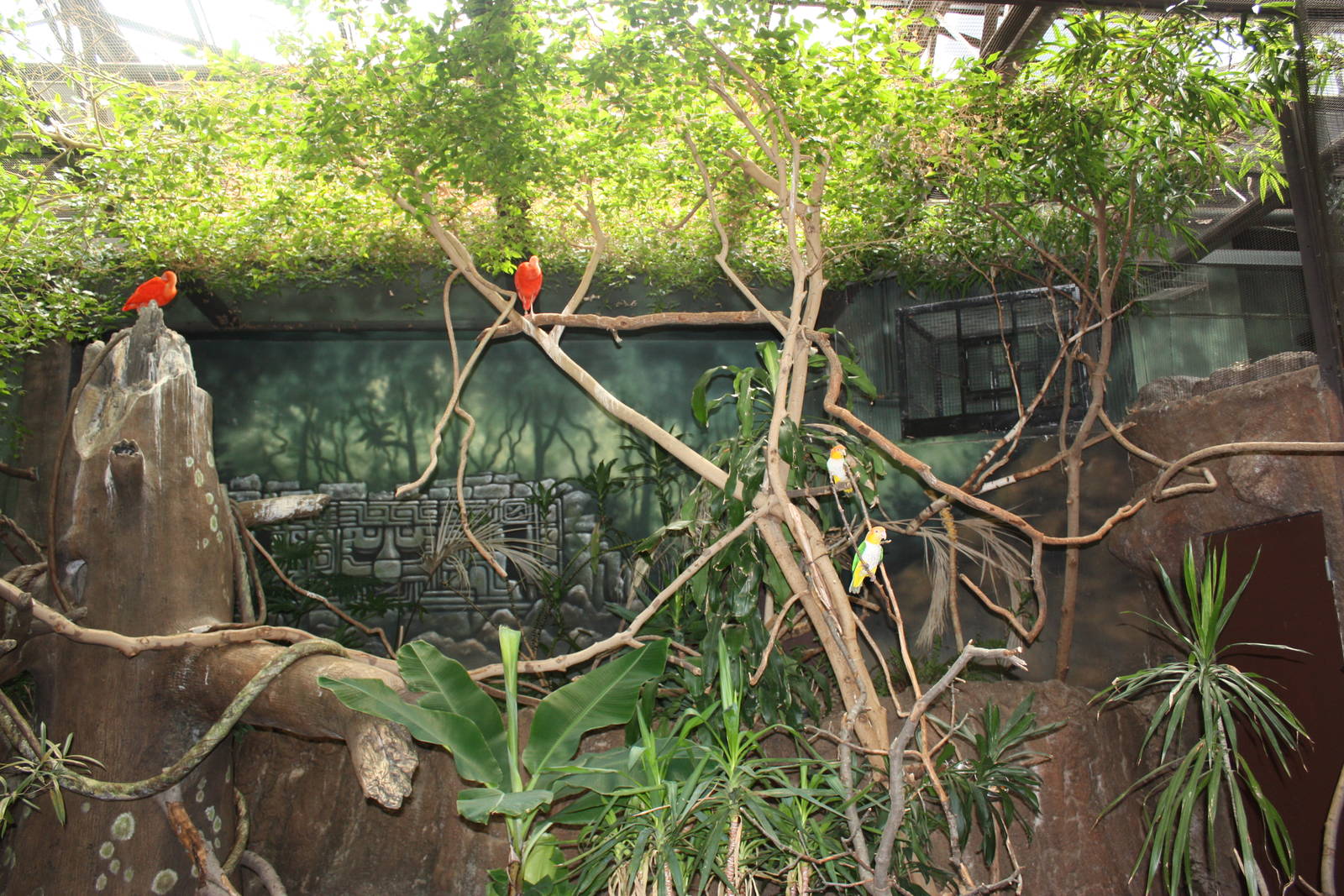 NWTB- Free-flight Aviary