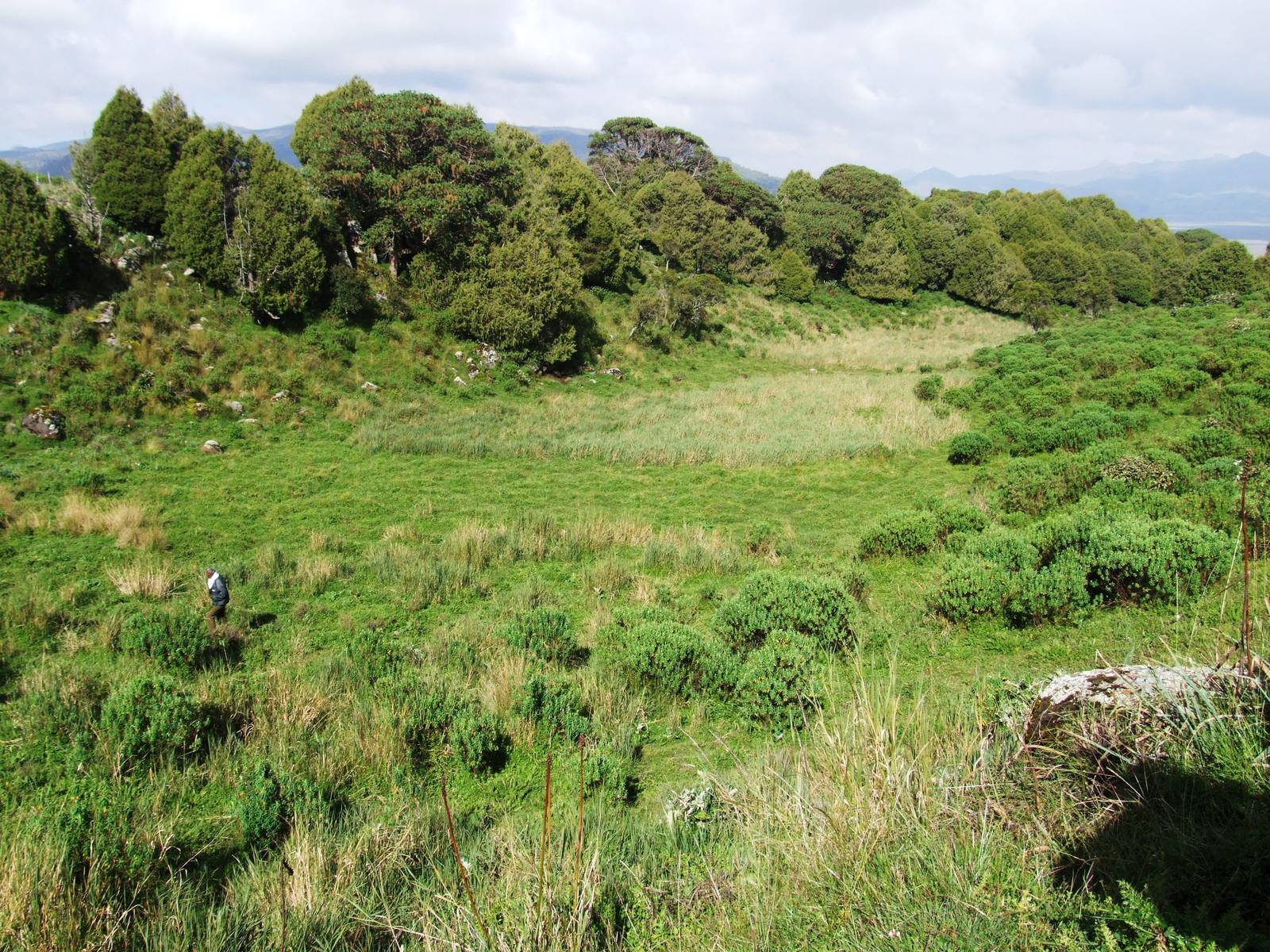 Nyala and Bushbuck Habitat in Bale Mountains NP, 16/10/14