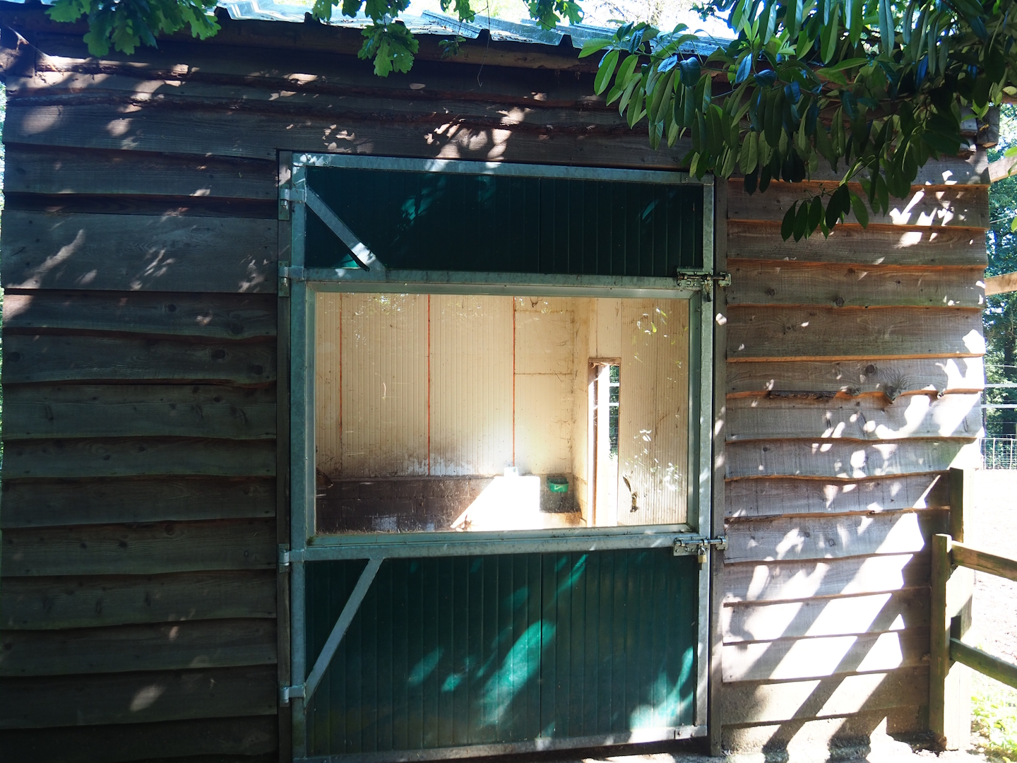 Nyala barn, 2023-06-24