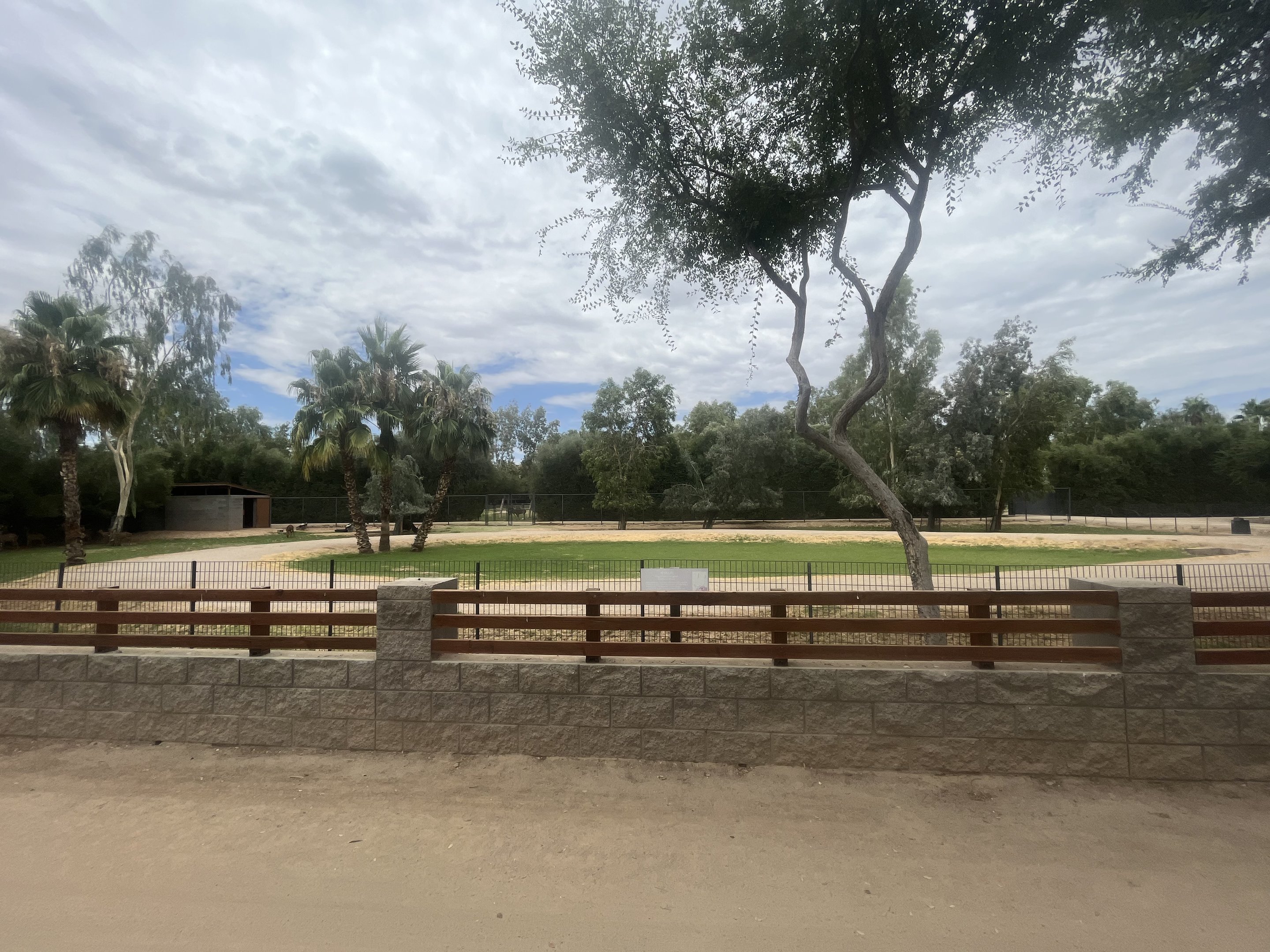 Nyala/East African Crowned Crane Exhibit