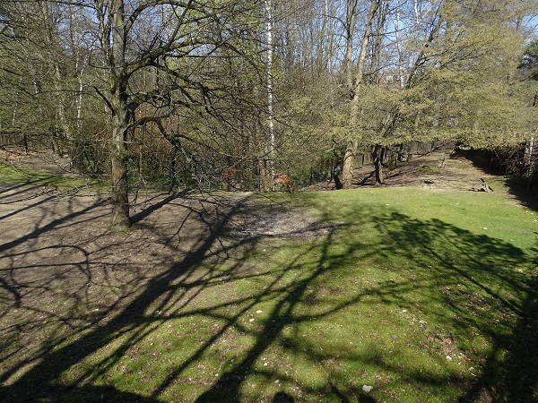 Nyala enclosure (04/2023)