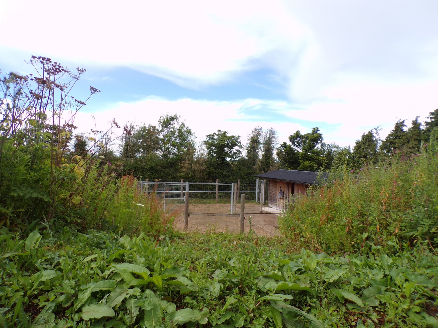 Nyala enclosure 7.7.24