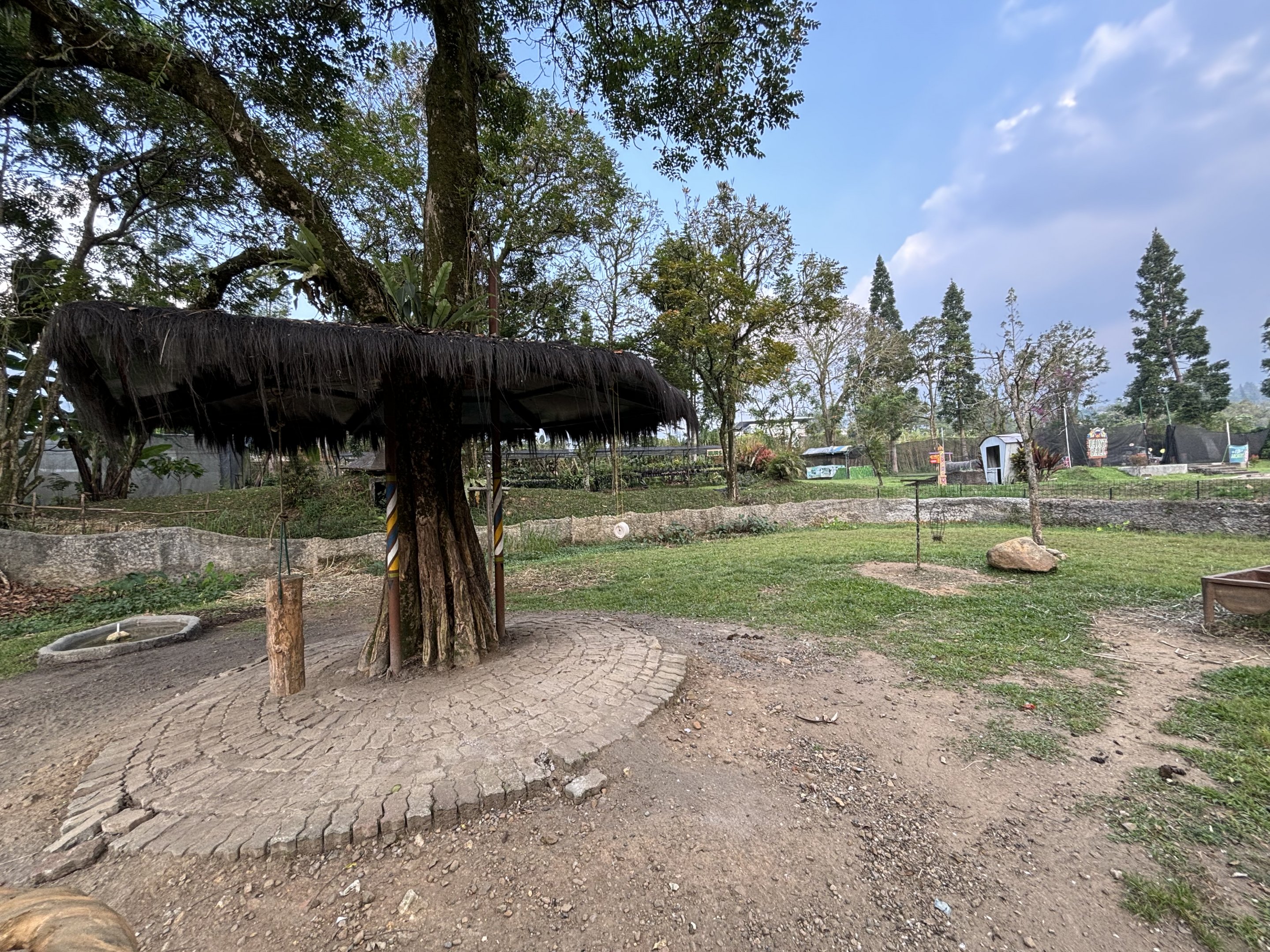 Nyala Exhibit - Royal Safari Garden Resort