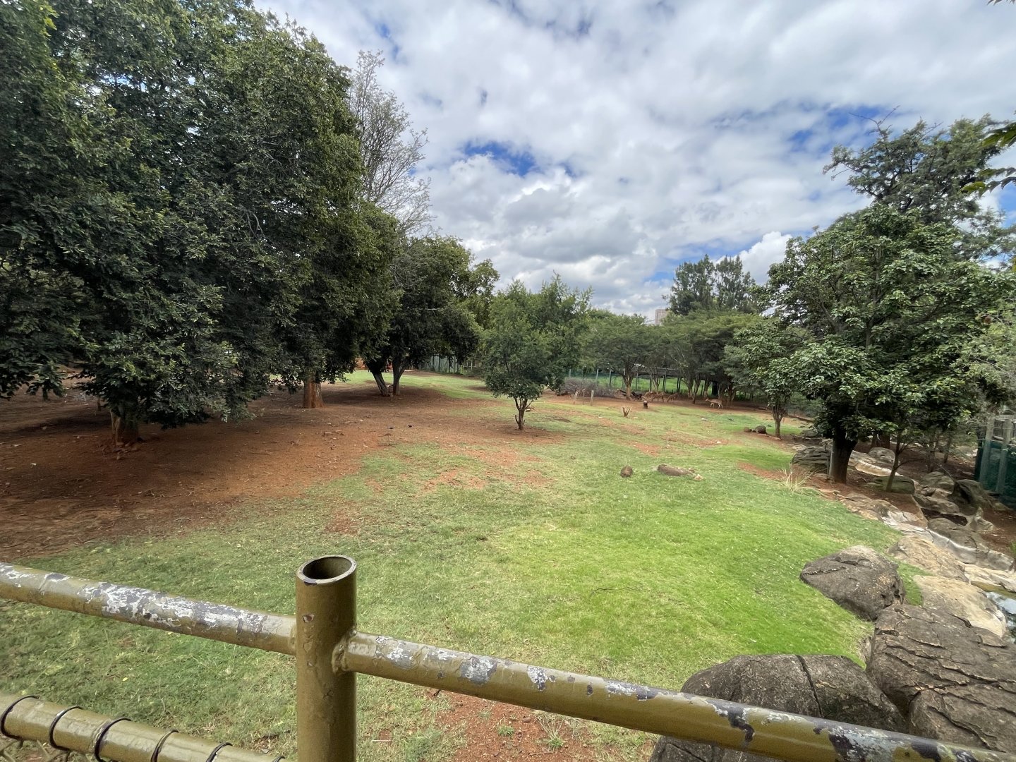 Nyala Exhibit (Tragelaphus angasii) Formerly home to Mountain Bongo