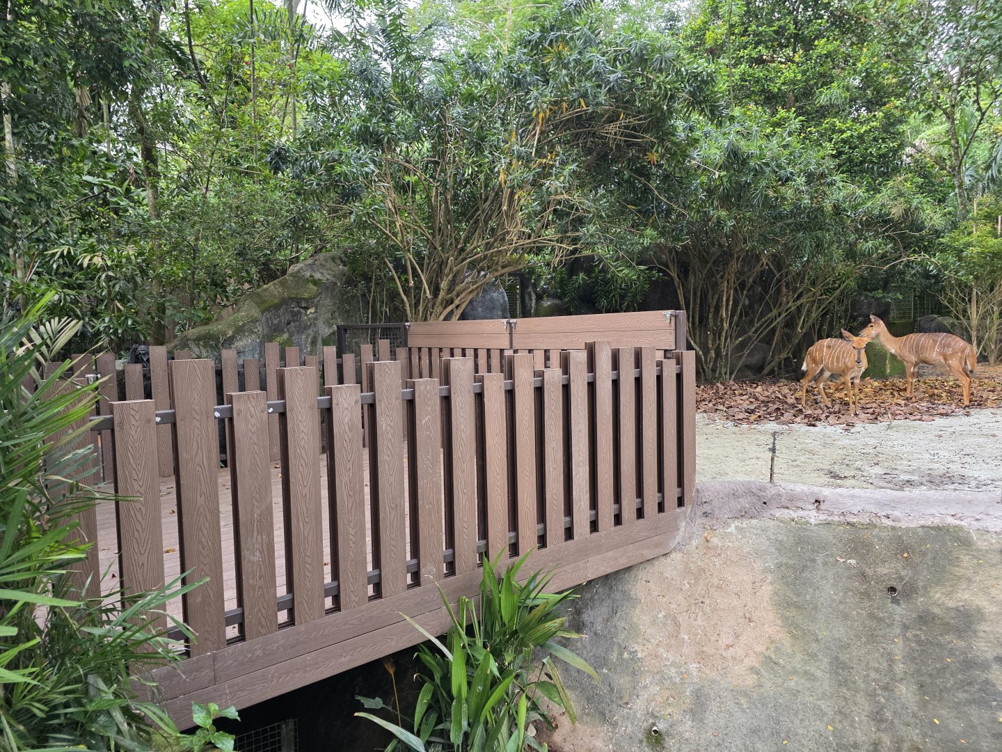 Nyala feeding platform