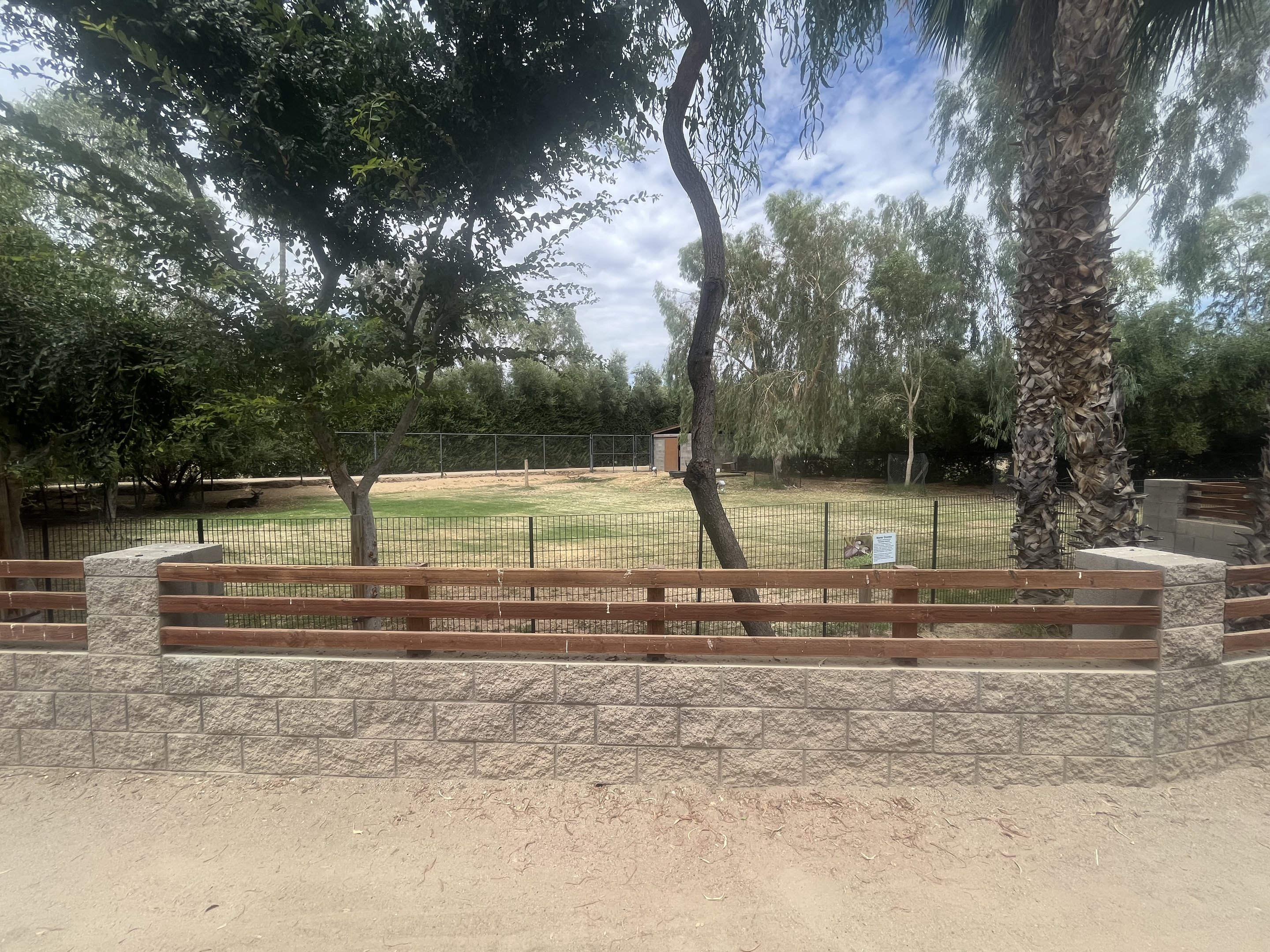 Nyala/Nene/Blue Crane Exhibit