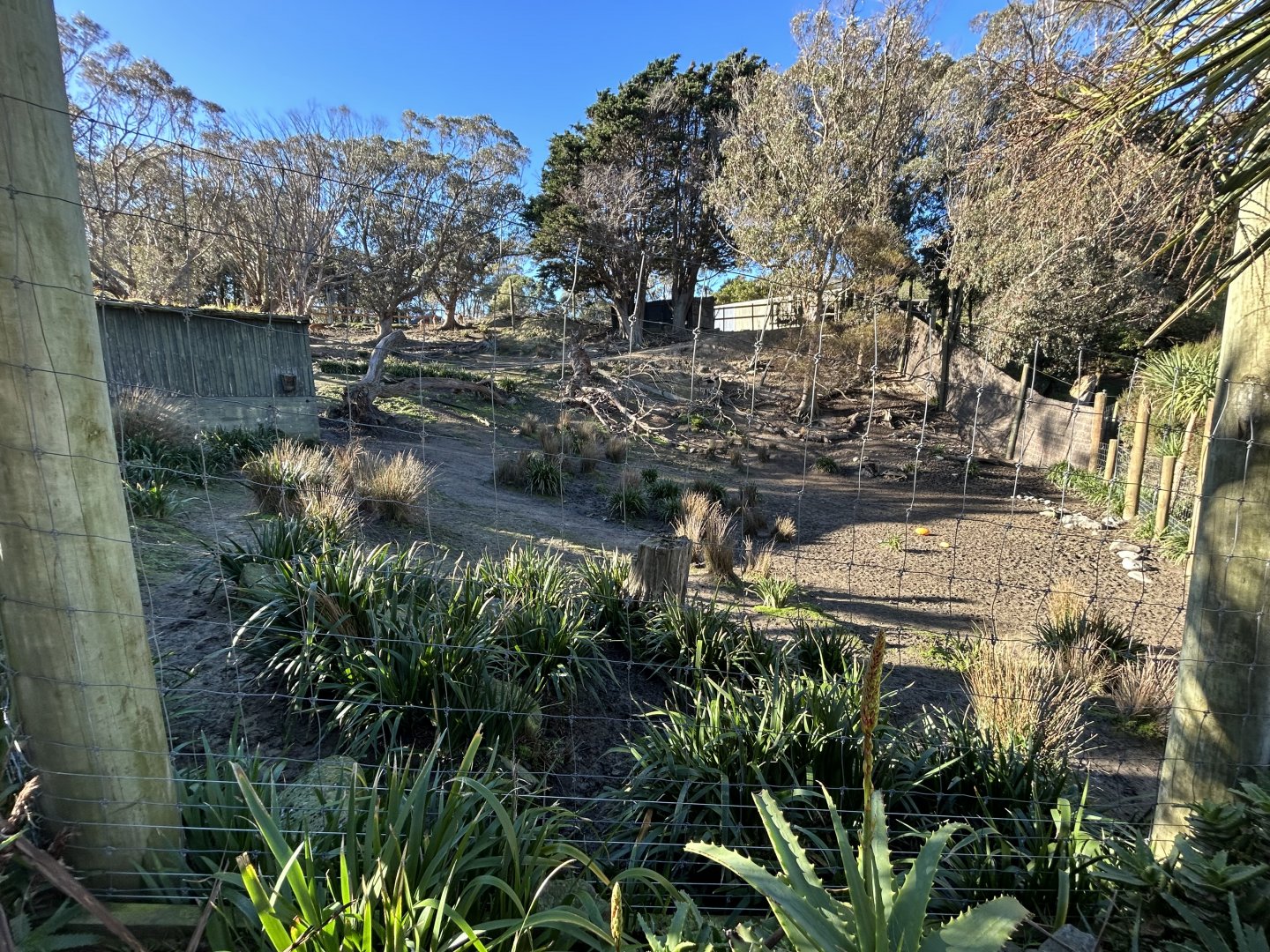 Nyala & Ostrich Exhibit
