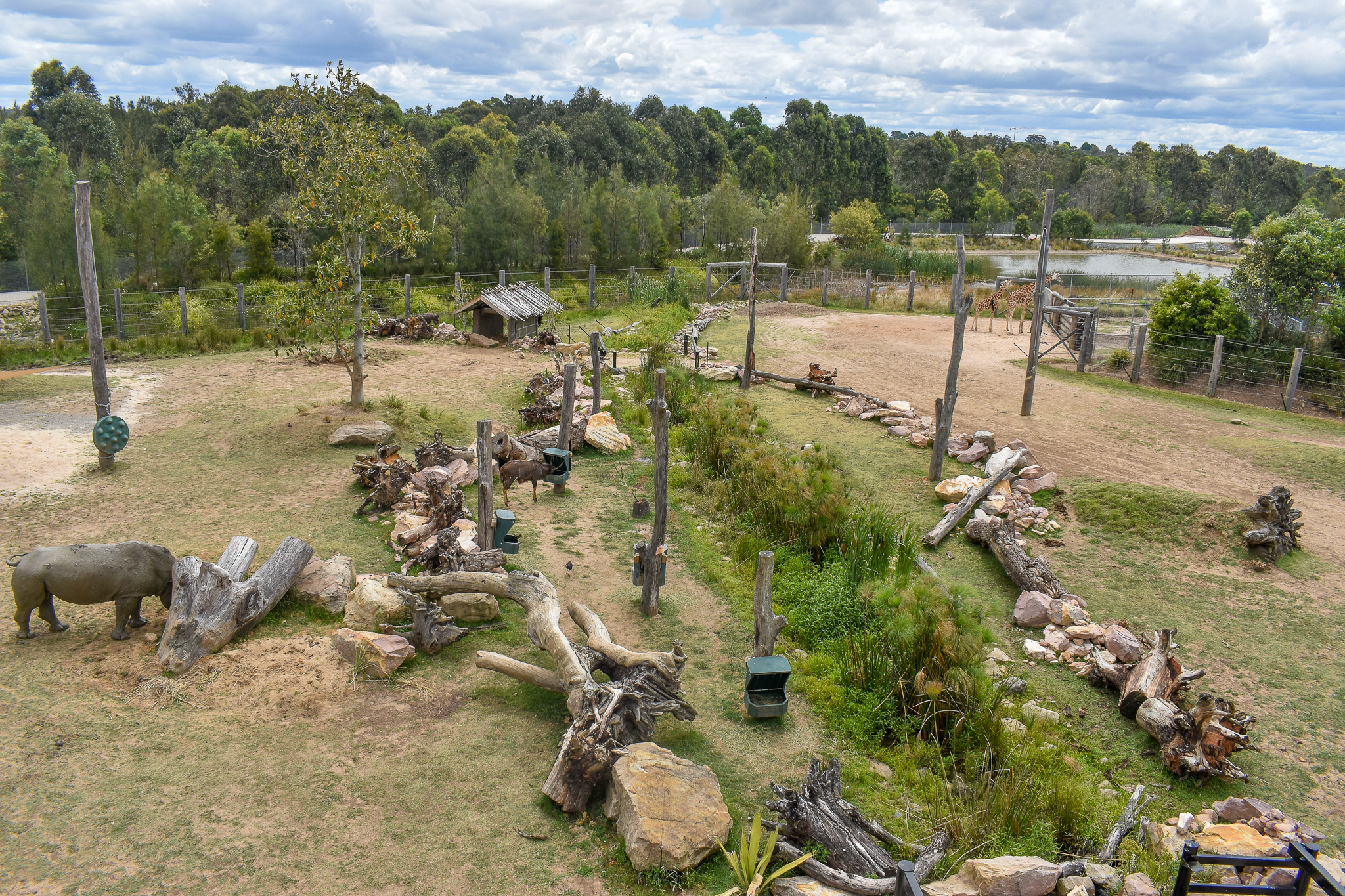 Nyala/Rhino Enclosure