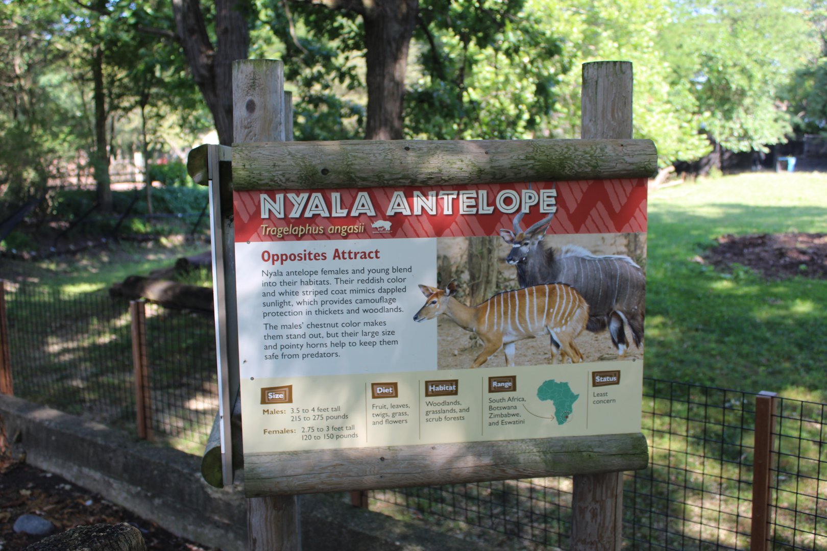 Nyala Signage