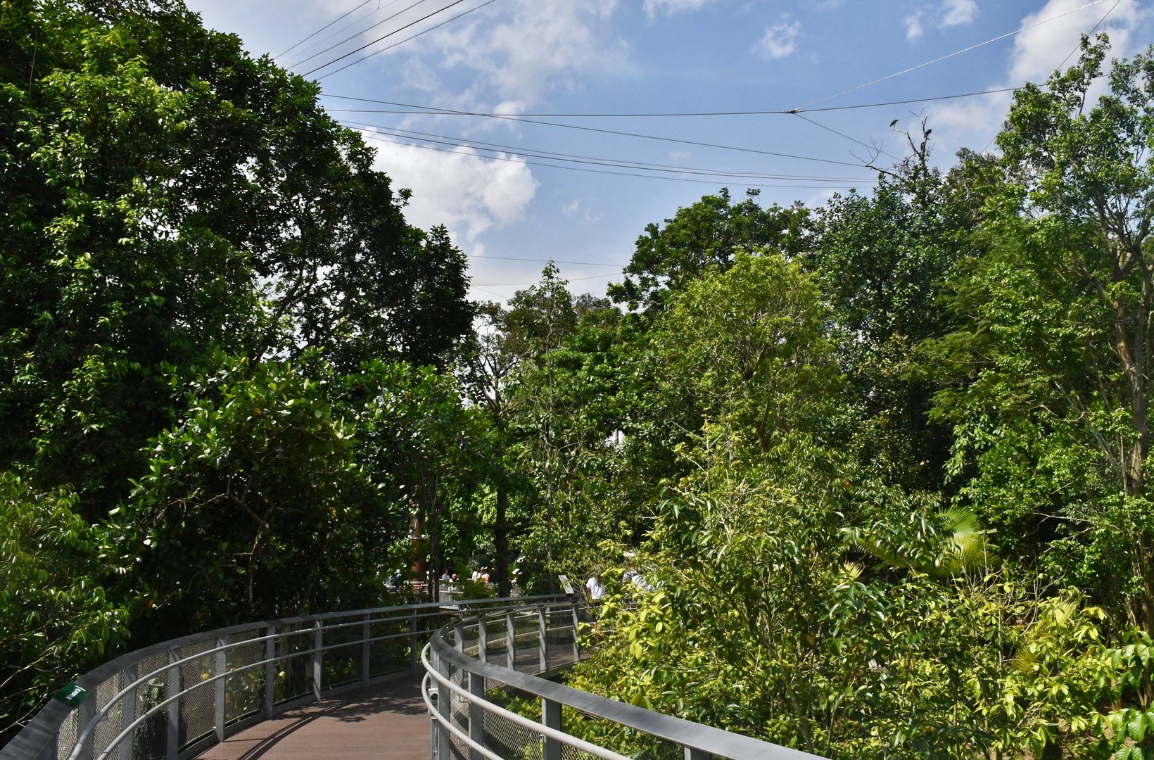 Nyungwe Forest Heart of Africa aviary