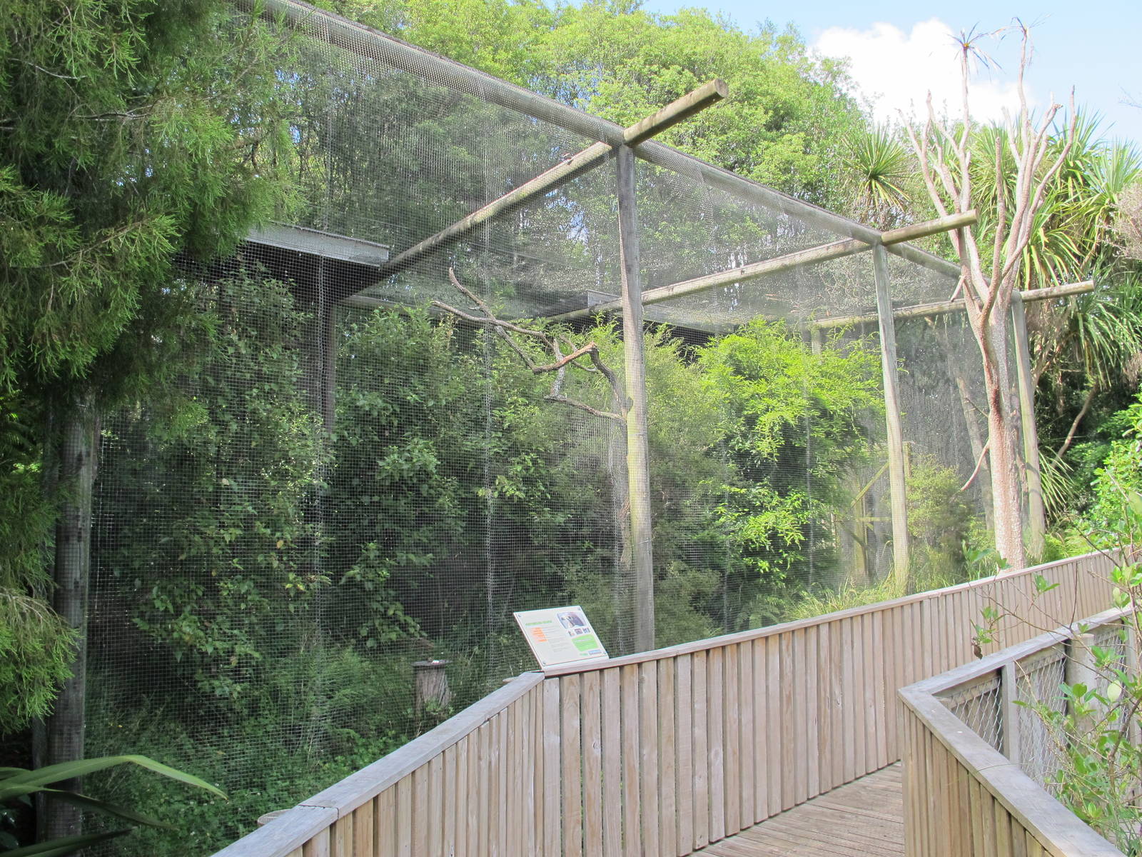 NZ Falcon Aviary - Hamilton Zoo 2012