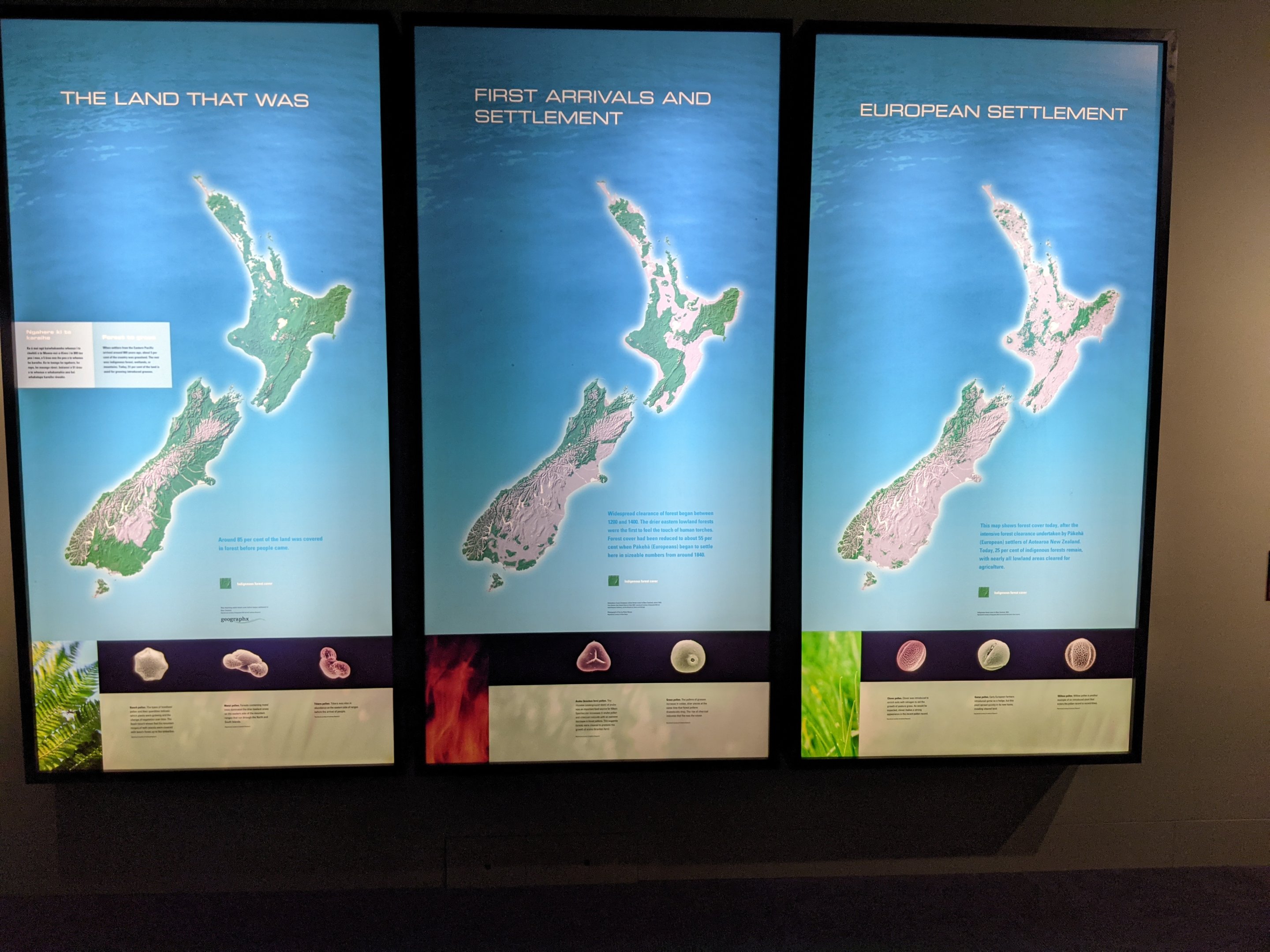 NZ forest cover over human settlement