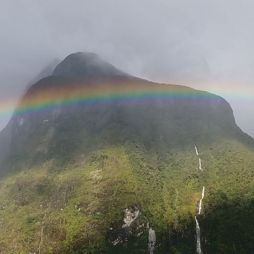 NZ Rainbow