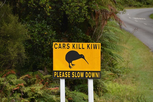 NZ sign
