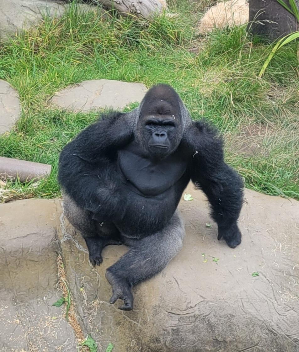 Nzinga! Looking so focused and handsome