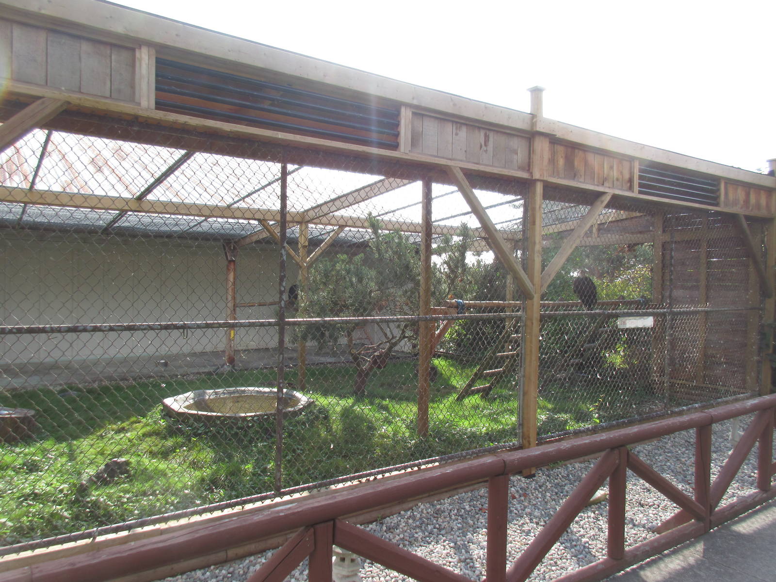 O.W.L. - Orphaned Wildlife Rehabilitation Society - Bald Eagle Exhibit