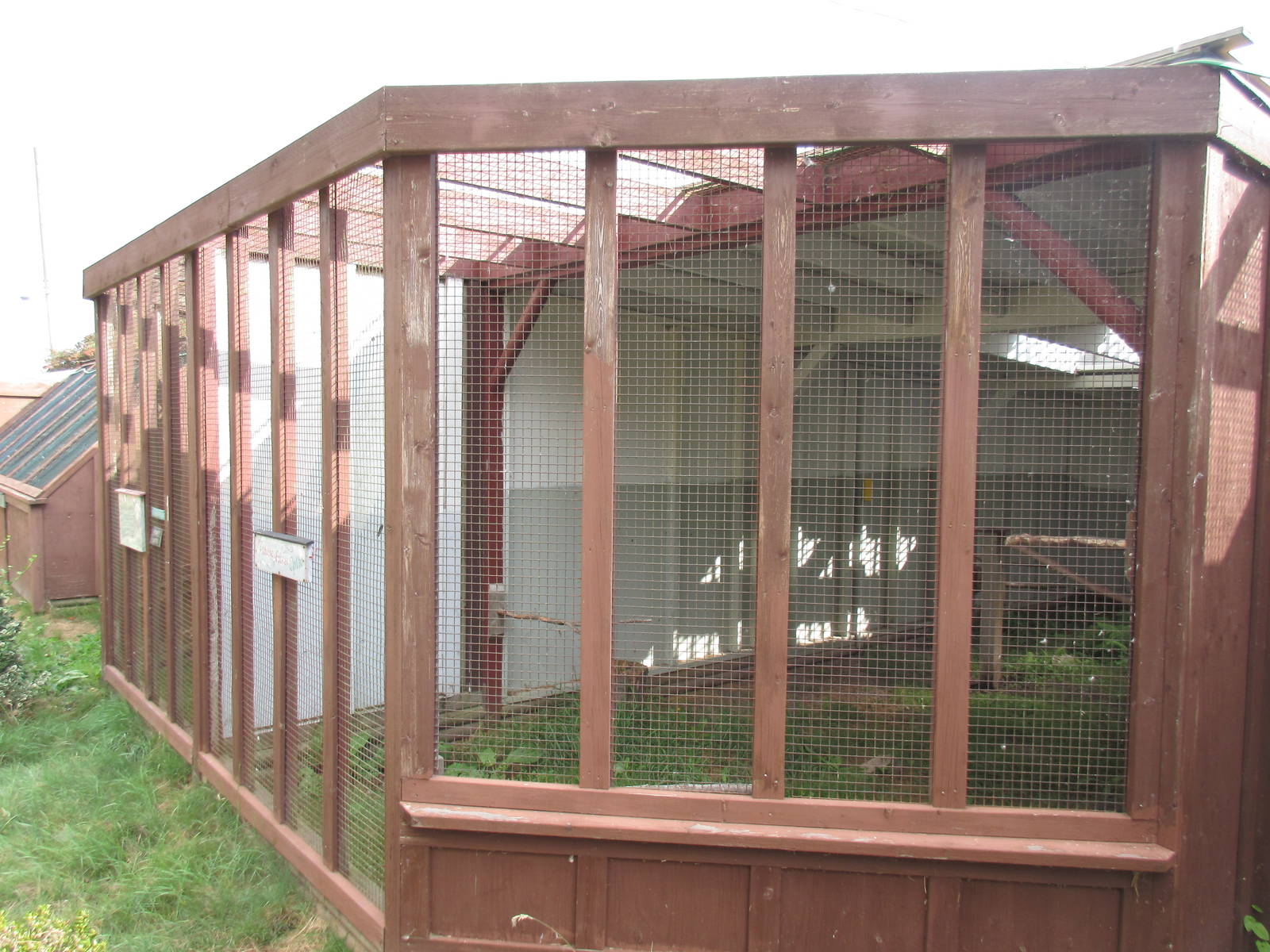 O.W.L. - Orphaned Wildlife Rehabilitation Society - Prairie Falcon Exhibit