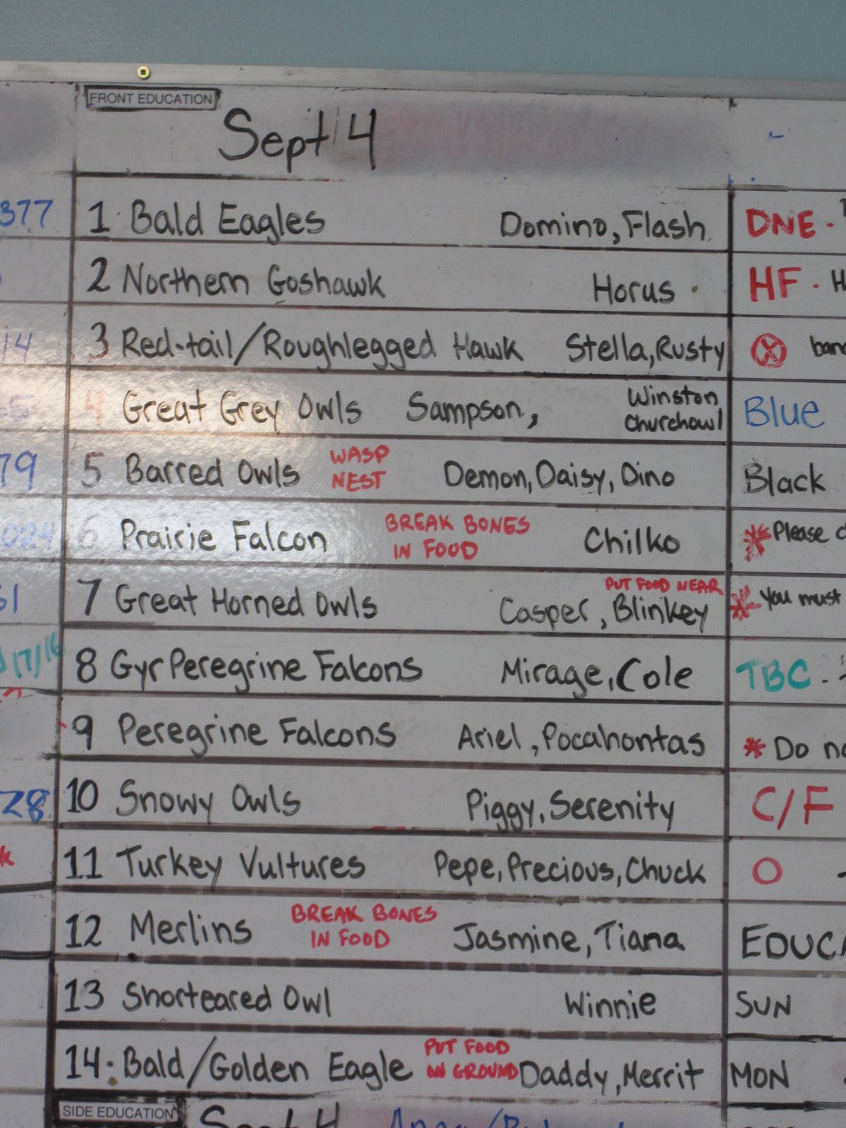 O.W.L. - Orphaned Wildlife Rehabilitation Society - Species List