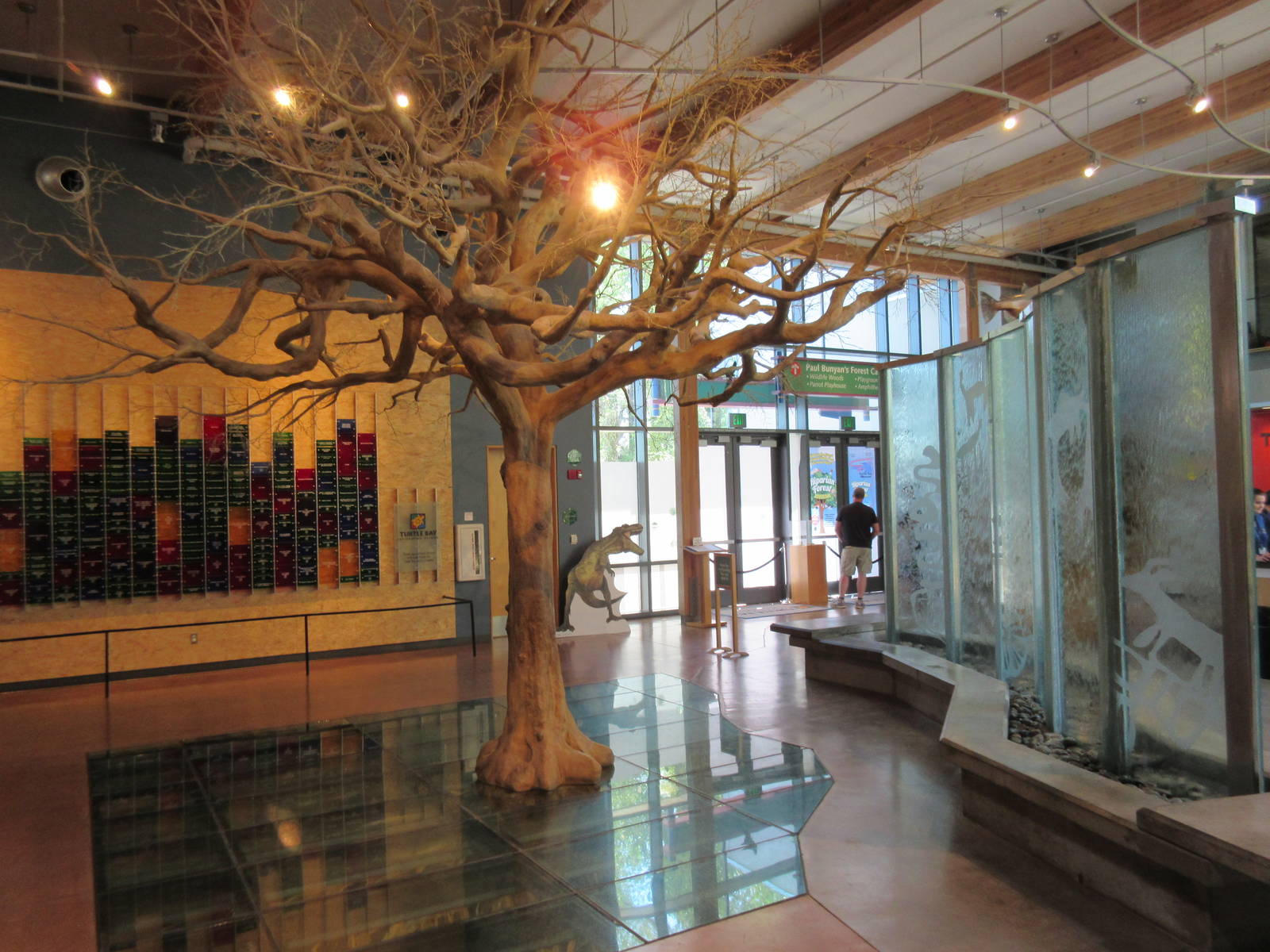 Oak Tree (fake above and real roots beneath the glass)