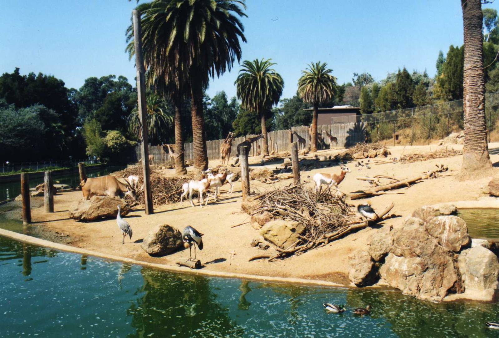 Oakland Zoo-Africa Exhibit