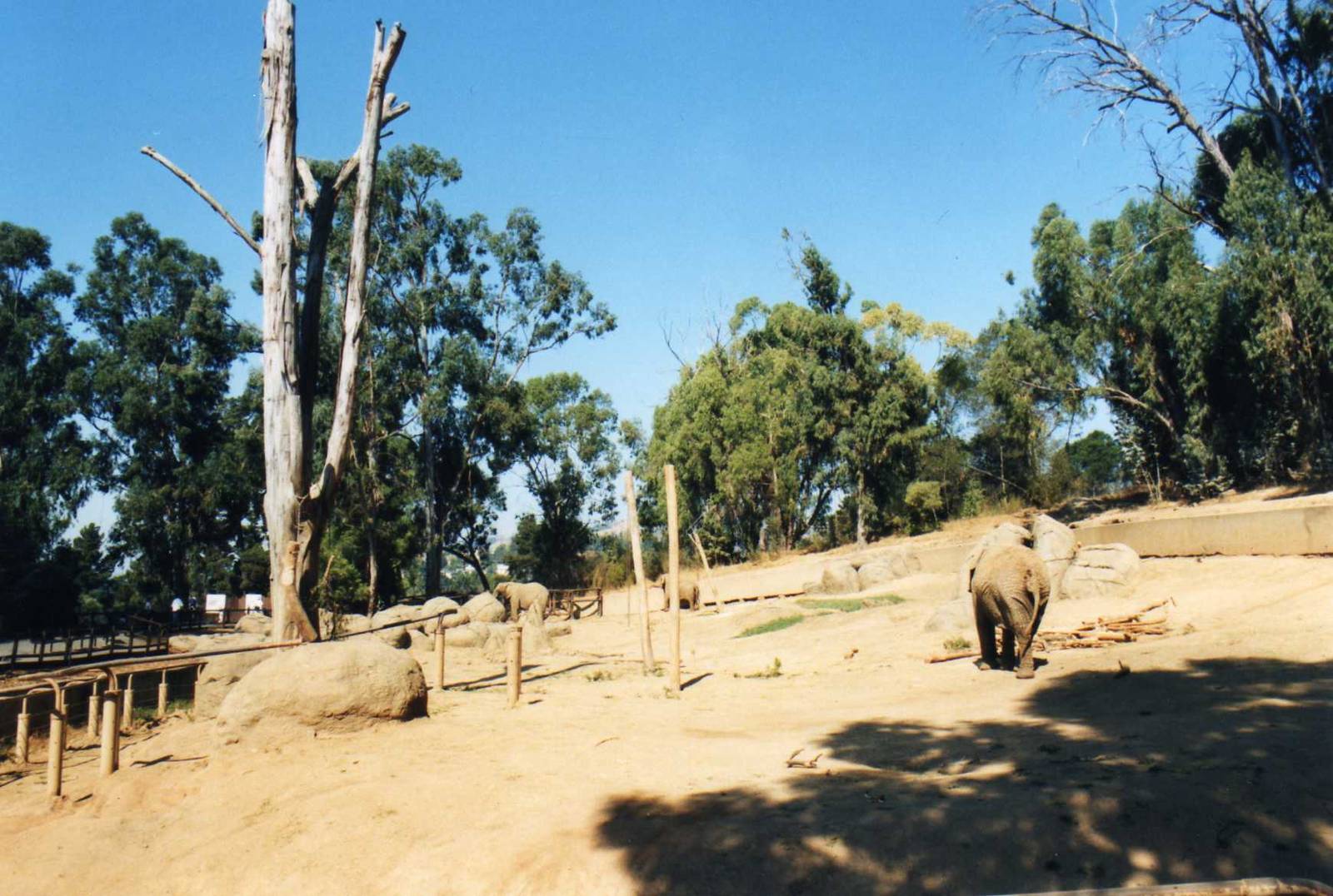 Oakland zoo-Elephant exhibit