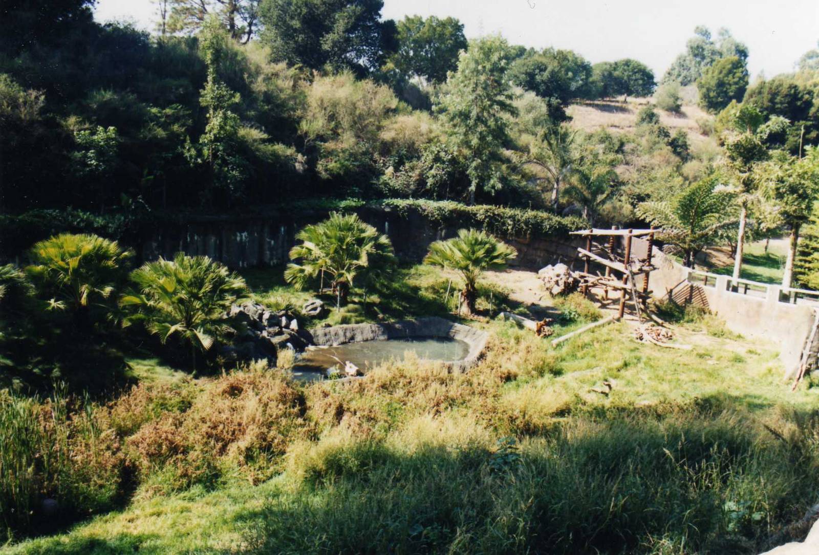 Oakland Zoo-Spectacled Bear exhibit