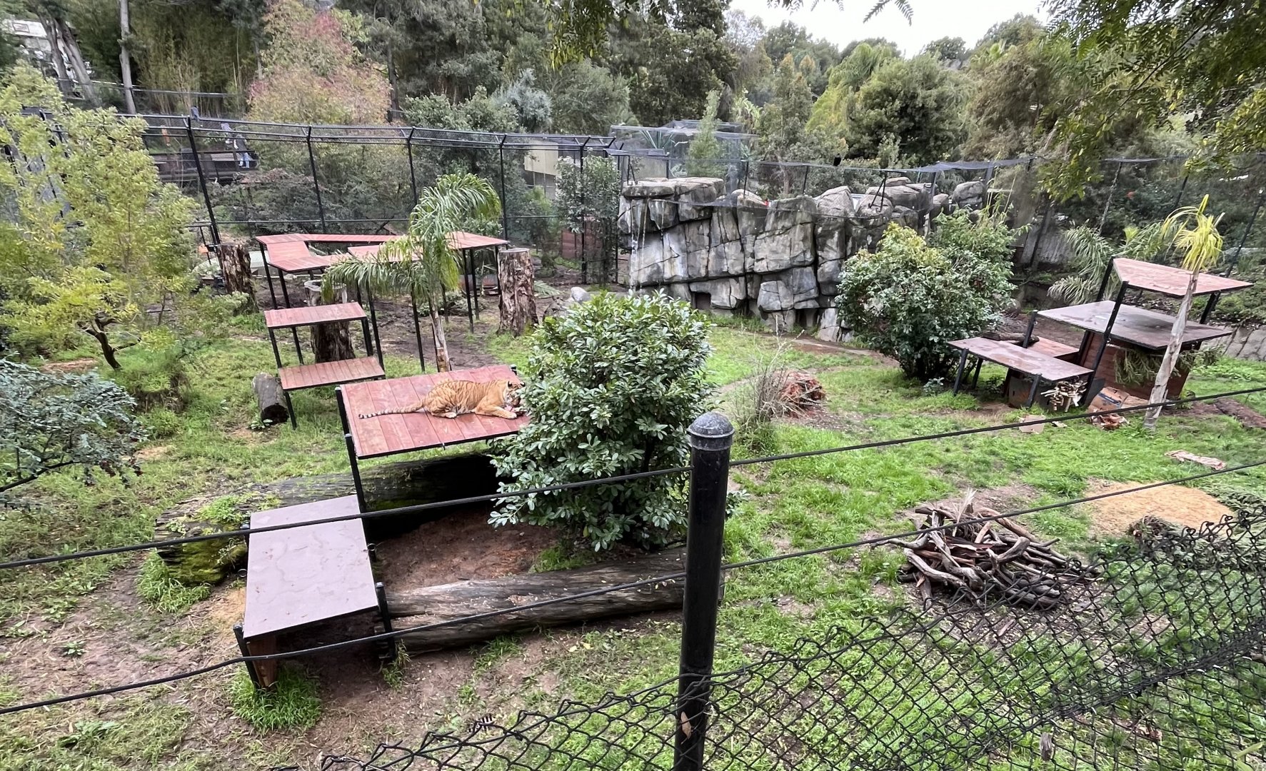 Oakland Zoo tiger enclosure