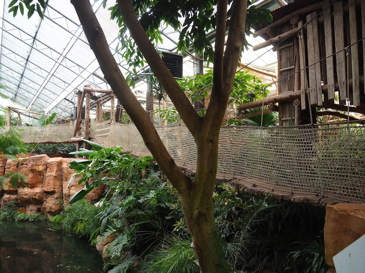 Oasis adventure bridge, 2023-10-13