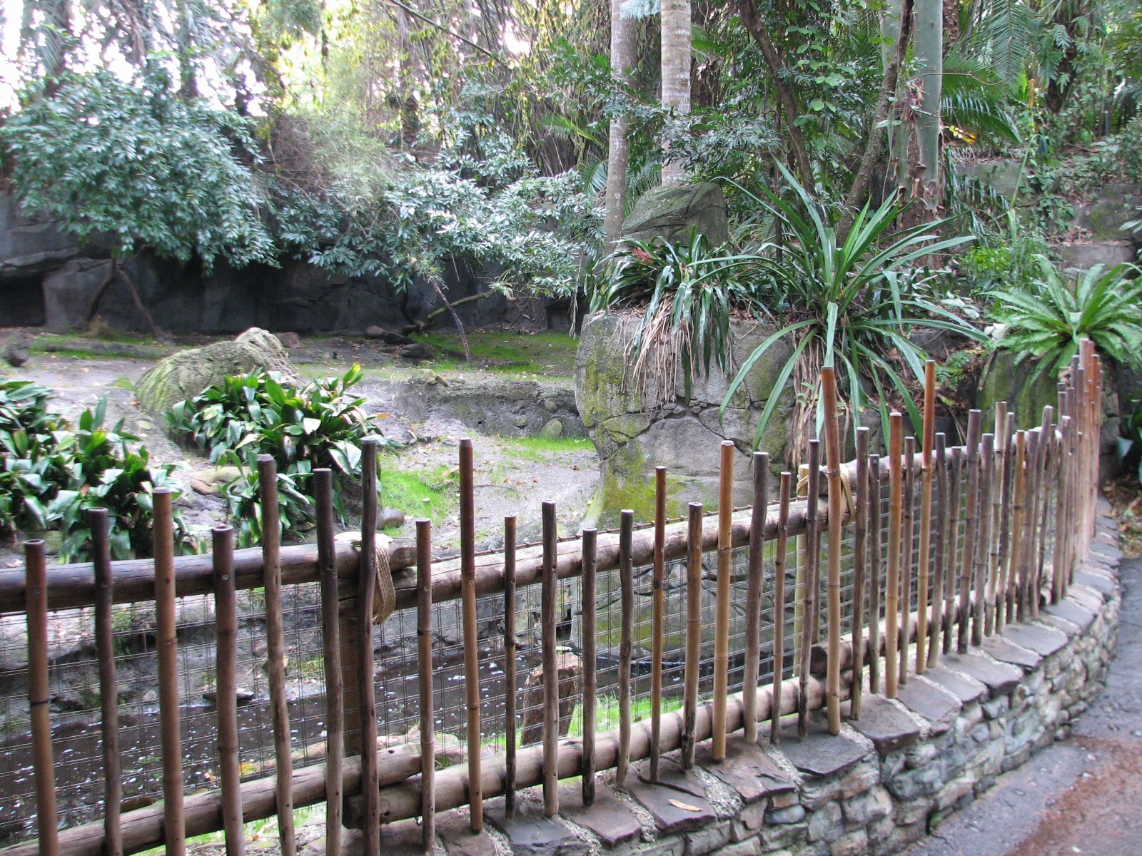 Oasis - Babirusa Exhibit
