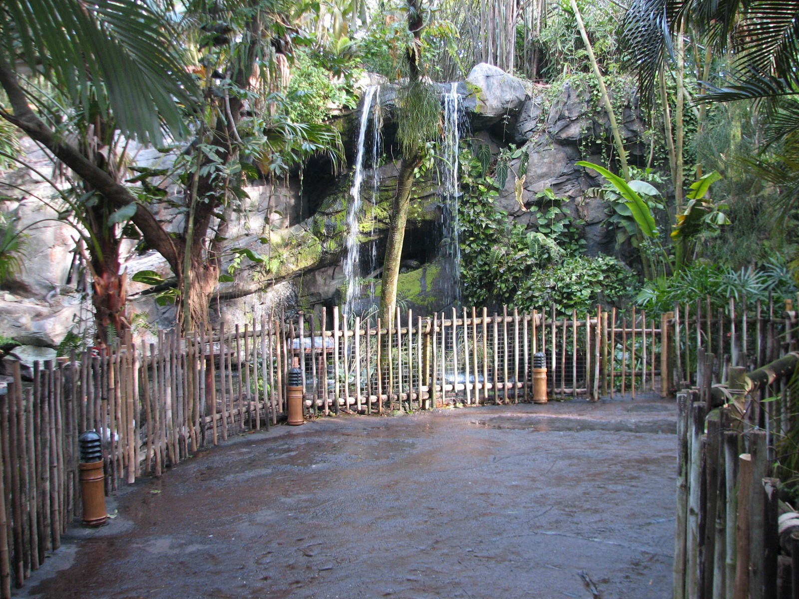 Oasis - Black-necked Swan, Rosybill Pochard, and Chiloe Wigeon Exhibit